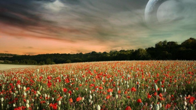 程序员如何用好 Cursor 工具？